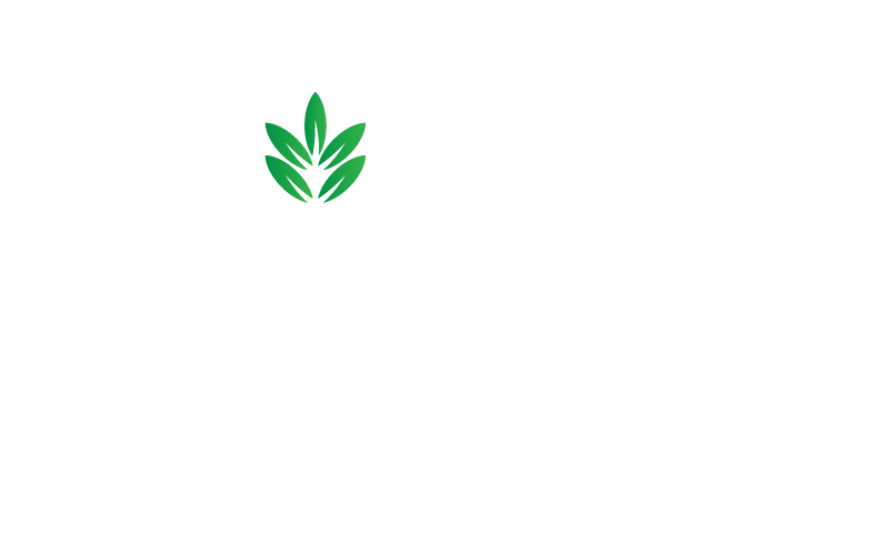 El-Saeed Fahmy Group Logo